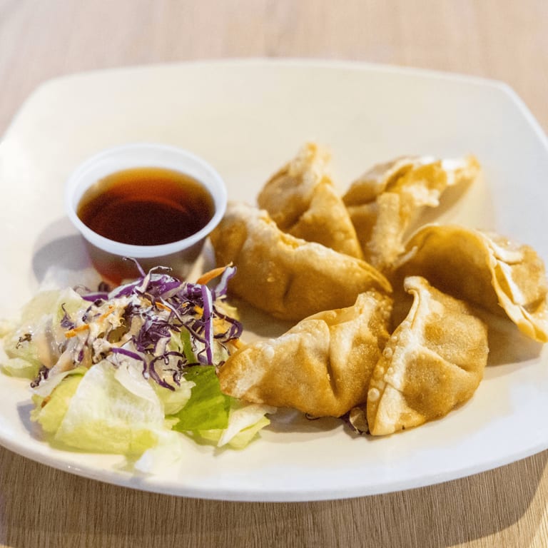 Delicious Gyoza: A Japanese Dumpling Delight